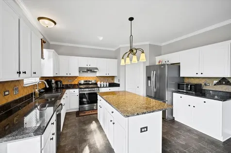 322 Zinnia Drive Romeoville IL 60446