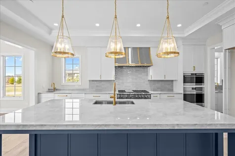 270 Majestic Oak Court Lake Forest IL 60045