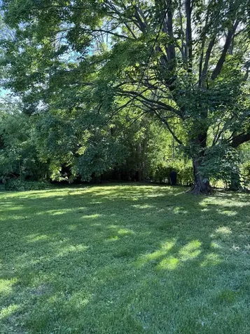 15145 West Walnut Drive Deerfield IL 60015