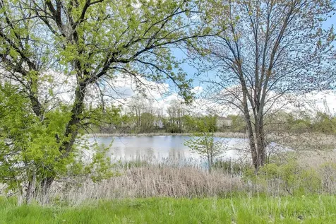 248 South Litchfield Drive Round Lake IL 60073