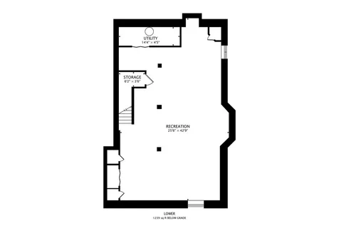 248 South Litchfield Drive Round Lake IL 60073
