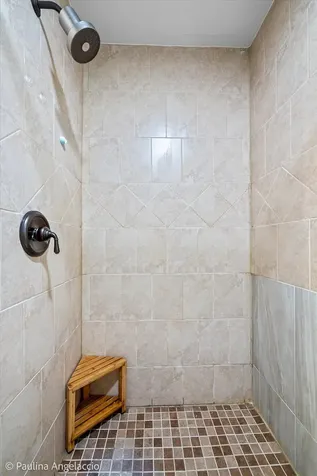 5547 South Bruner Street Hinsdale IL 60521