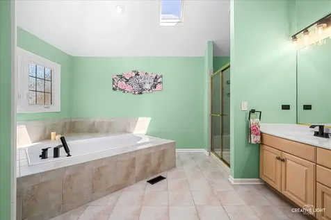 4303 Ariel Court Naperville IL 60564