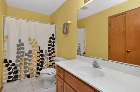 713 Clifford Drive Minooka IL 60447