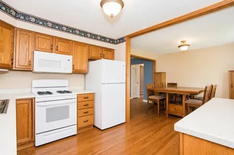 1359 East Dorothy Drive Palatine IL 60074