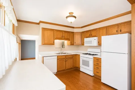 1359 East Dorothy Drive Palatine IL 60074