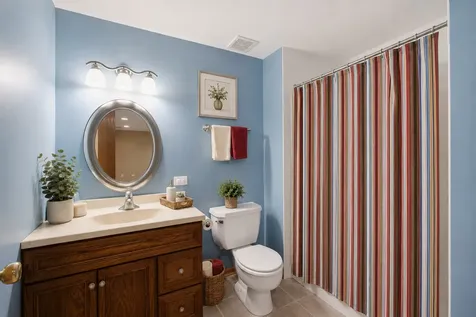 10851 White Deer Circle Orland Park IL 60467