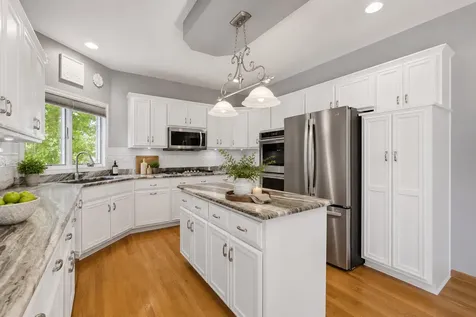 10851 White Deer Circle Orland Park IL 60467