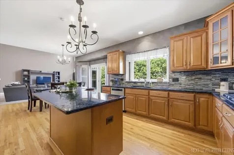 729 West Thornwood Drive South Elgin IL 60177
