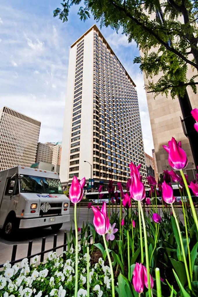 535 North Michigan Avenue Chicago IL 60611