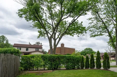 8917 Birch Avenue Morton Grove IL 60053