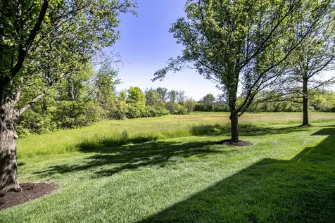 20432 Fallingwater Circle Frankfort IL 60423