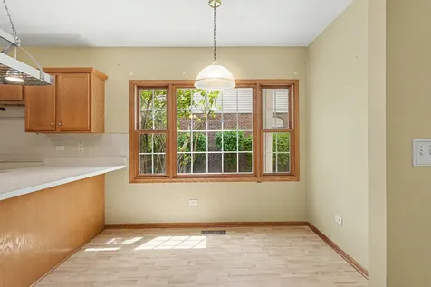 10948 Deblin Lane Oak Lawn IL 60453