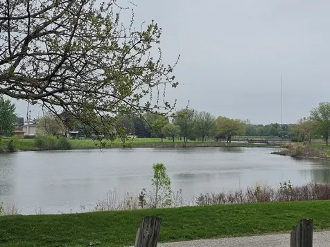 155 West Elk Trail Carol Stream IL 60188