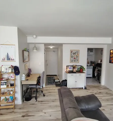 1150 North Lake Shore Drive Chicago IL 60611