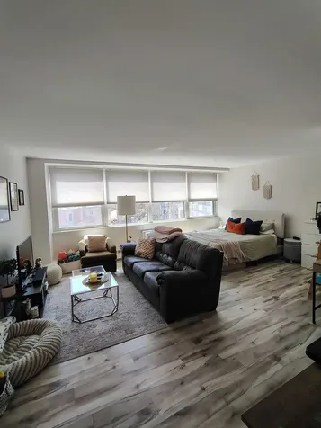 1150 North Lake Shore Drive Chicago IL 60611