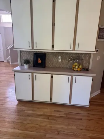 209 Grays Drive Oswego IL 60543