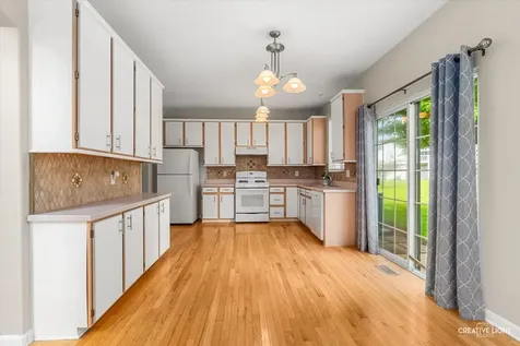 209 Grays Drive Oswego IL 60543