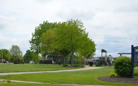 322 Bodega Drive Romeoville IL 60446