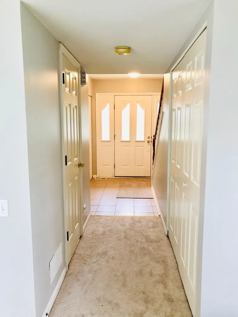 503 Orleans Avenue Naperville IL 60565
