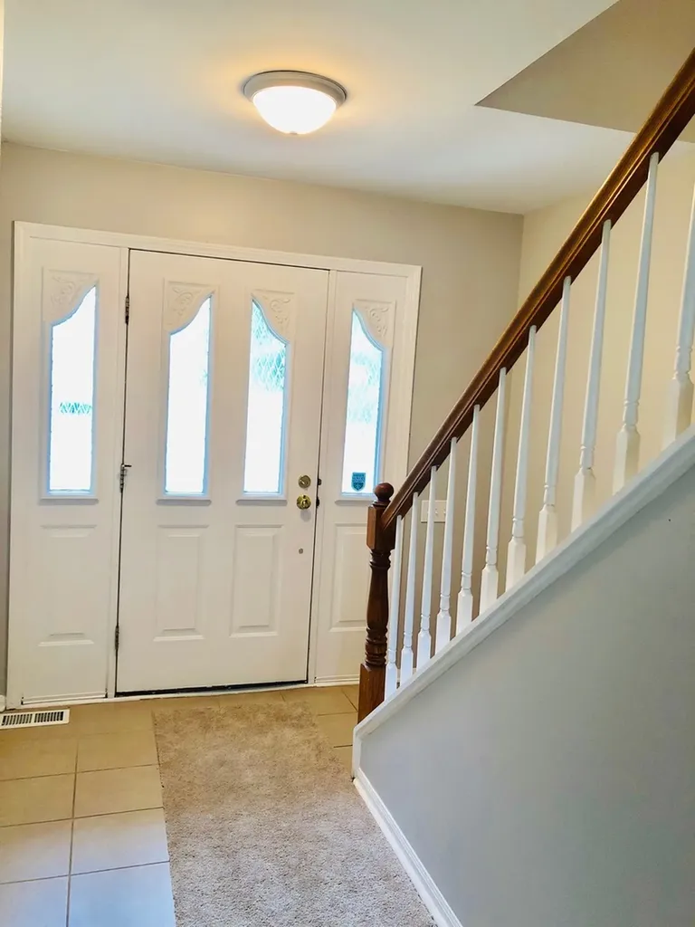 503 Orleans Avenue Naperville IL 60565