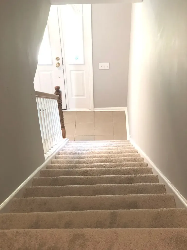 503 Orleans Avenue Naperville IL 60565