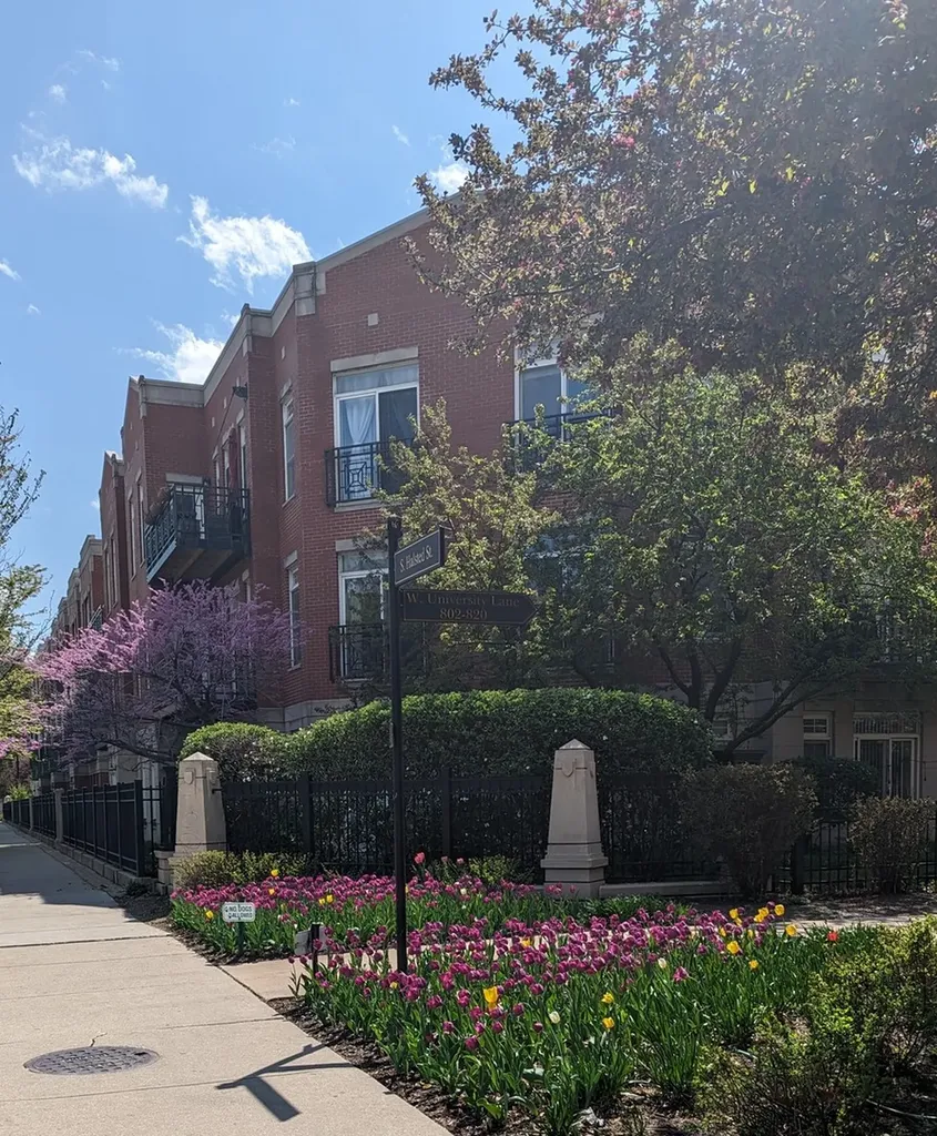 1406 South Halsted Street Chicago IL 60607