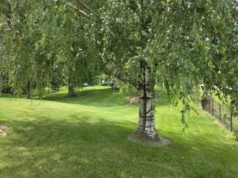 304 Tree Lane Prophetstown IL 61277