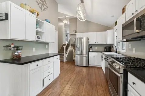 1351 Reva Lane Lake Holiday IL 60548