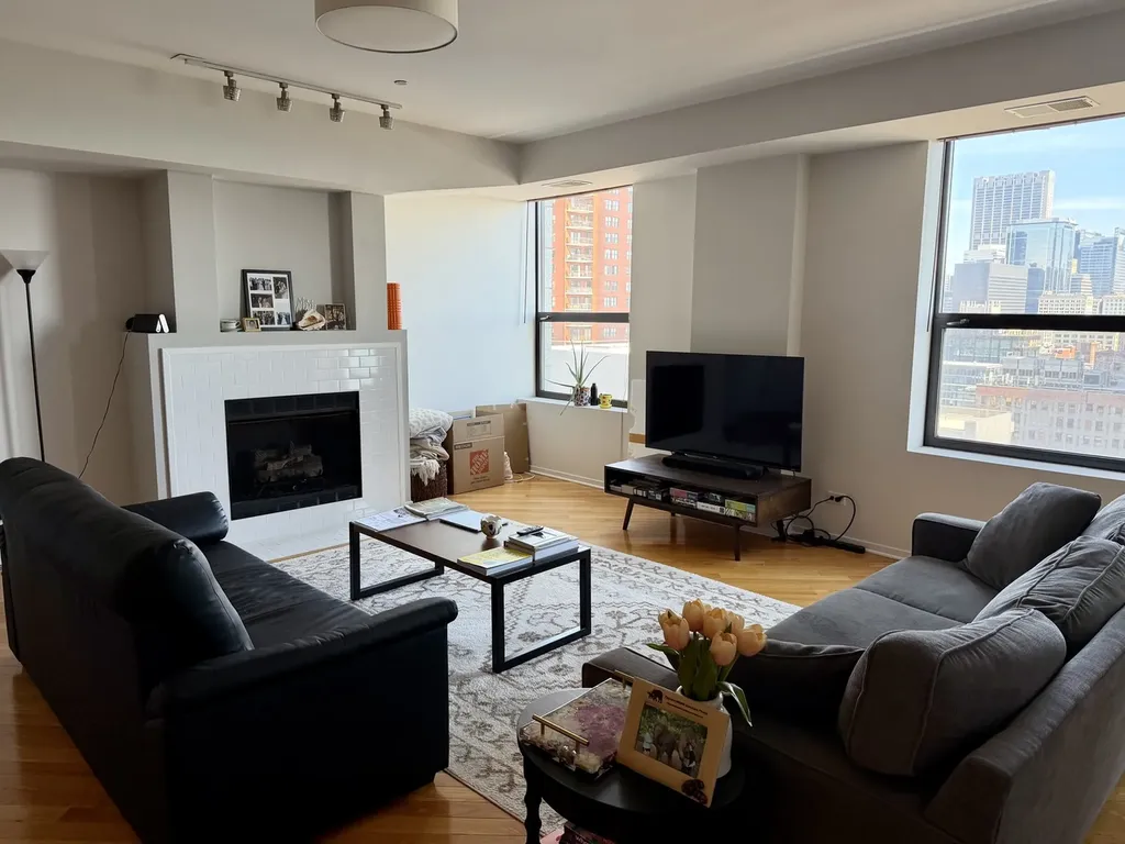 910 South Michigan Avenue Chicago IL 60605