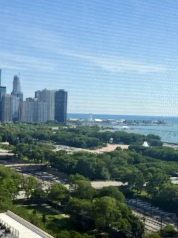 910 South Michigan Avenue Chicago IL 60605