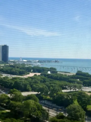 910 South Michigan Avenue Chicago IL 60605