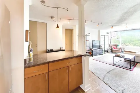 2728 North Hampden Court Chicago IL 60614