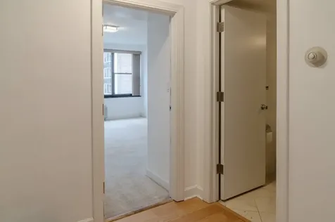 850 North Dewitt Place Chicago IL 60611