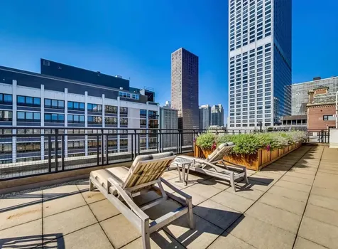 850 North Dewitt Place Chicago IL 60611