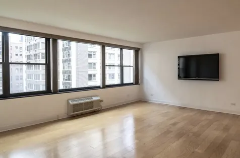 850 North Dewitt Place Chicago IL 60611