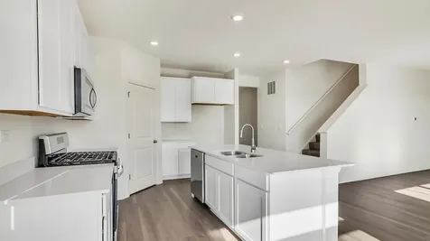 6250 Leinster Lane Tinley Park IL 60477