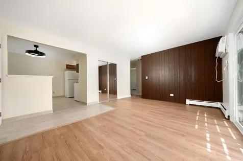 1303 North Baldwin Court Palatine IL 60074