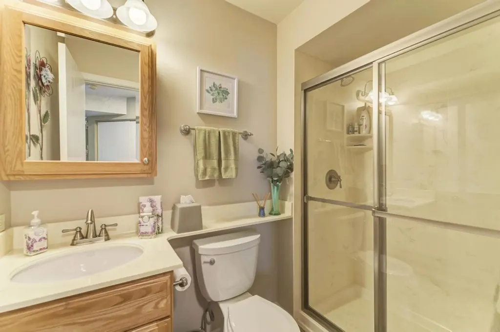 312 Cromwell Court Westmont IL 60559