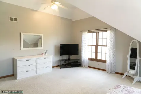 251 Millington Lane Aurora IL 60504