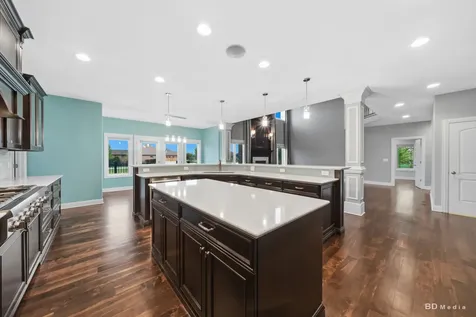 23296 Sunburst Point Frankfort IL 60423