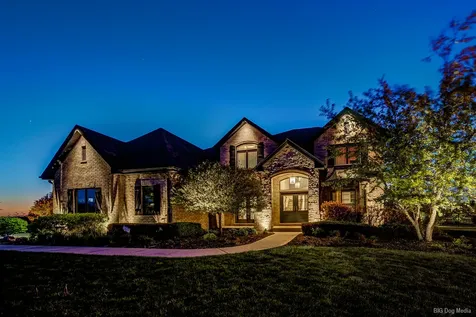 23296 Sunburst Point Frankfort IL 60423