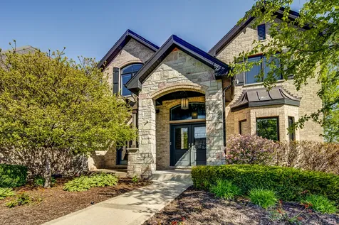 23296 Sunburst Point Frankfort IL 60423
