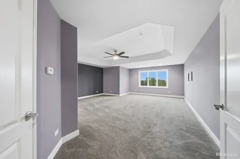 23296 Sunburst Point Frankfort IL 60423