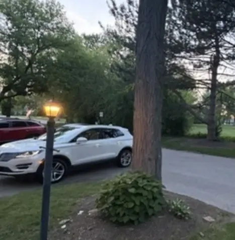 66 Stonington Drive S Palatine IL 60074