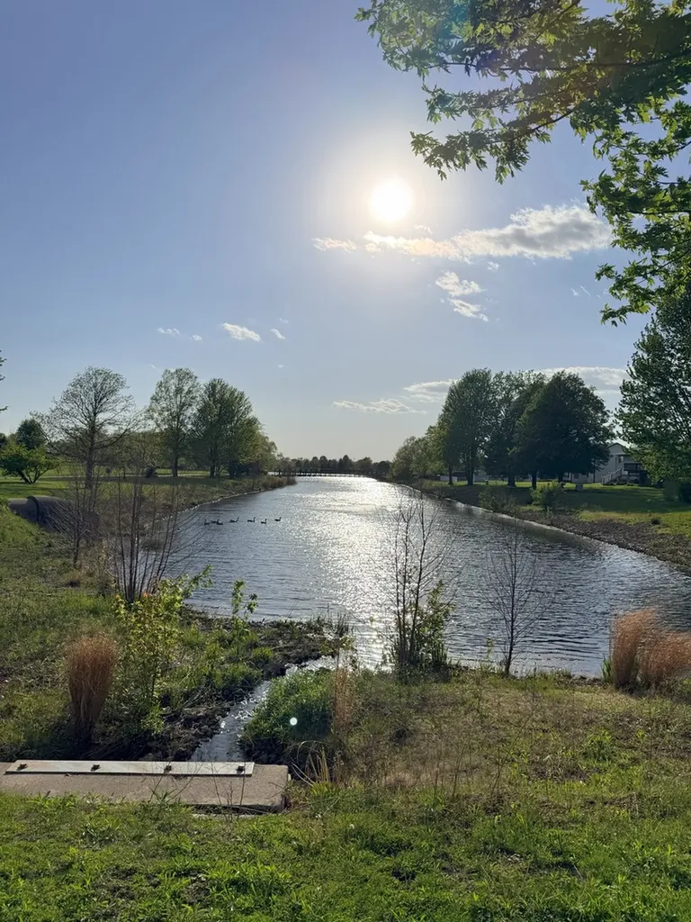 513 Pheasant Chase Drive Bolingbrook IL 60490