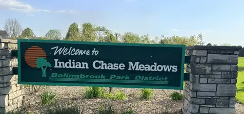 513 Pheasant Chase Drive Bolingbrook IL 60490