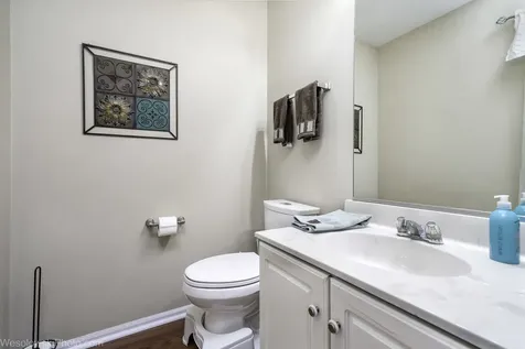 106 Wildflower Way Streamwood IL 60107