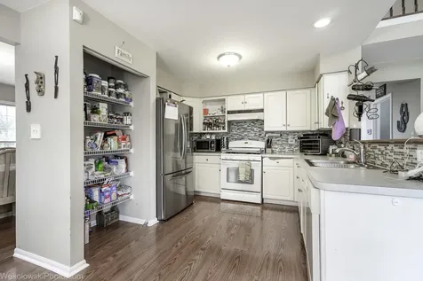 106 Wildflower Way Streamwood IL 60107