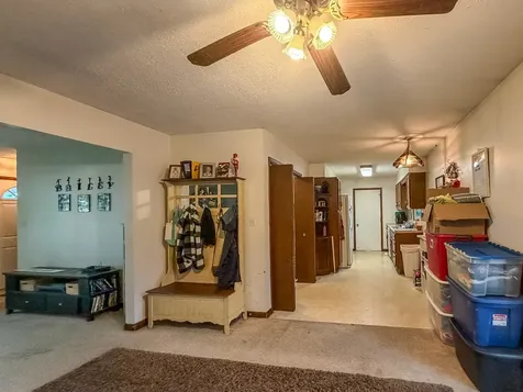 306 Willow Lane Mahomet IL 61853